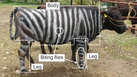 Zebra Cows and Non-Stick Cuisine Claim Tongue-in-Cheek Science Awards